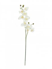 Orchidej větvička krémově-bílá, 100 cm