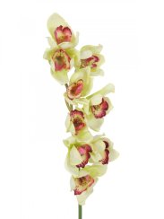 Orchidej větvička, zelená, 90 cm