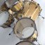 BDC Legend SE Spalted Beech Bass Drum 26x14"