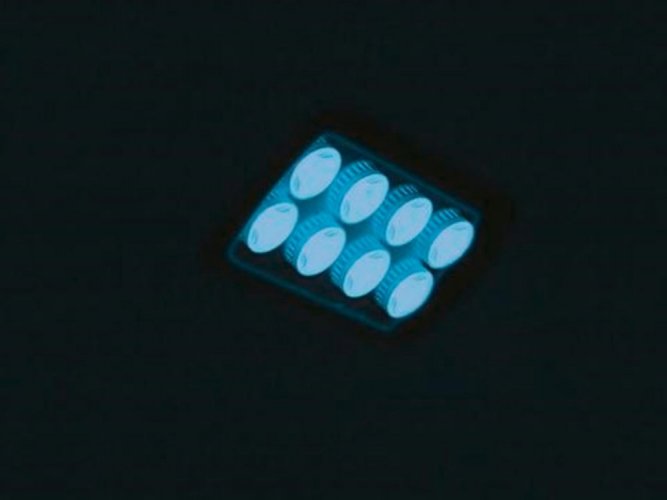 Eurolite LED IP FL-8 modrý, 30