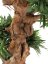 Bonsai palma, 120cm – rozbaleno (82511514)