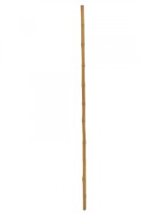 Tyč bambusová, prům.3cm, délka 200cm Tyč bambusová, prům.3cm, délka 200cm