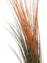 Europalms rákos, světle hnědý, umělý, 127 cm