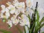 Orchidej bílá v dekoračním květináči, 62 cm