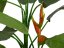 FIRESILX Heliconia, umělá rostlina, 190 cm