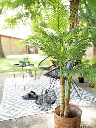Palma Areca, 2 kmeny, 120 cm