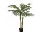Palma Areca, 2 kmeny, 120 cm