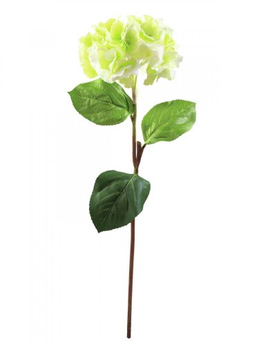 Hortenzie větvička zelená, 76 cm
