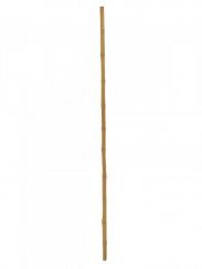 Tyč bambusová, prům.3cm, délka 200cm