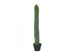 Mexický kaktus zelený, 97 cm