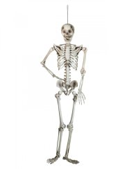Halloween Kostra k zavěšení, 150 cm Halloween Kostra k zavěšení, 150 cm