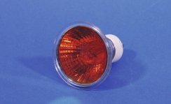 Omnilux 230V/50W GU-10 25, červená