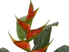 FIRESILX Heliconia, umělá rostlina, 190 cm