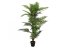 Palma Areca, 150 cm