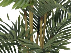 Kentia palma, 140 cm Kentia palma, 140 cm
