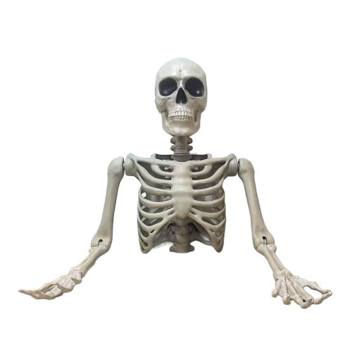 Halloween velká kostra horní části těla, 104 cm