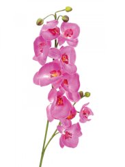 Orchidej větvička fialová, 100 cm