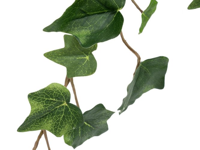 FIRESILX Břečťan trs, 60 cm