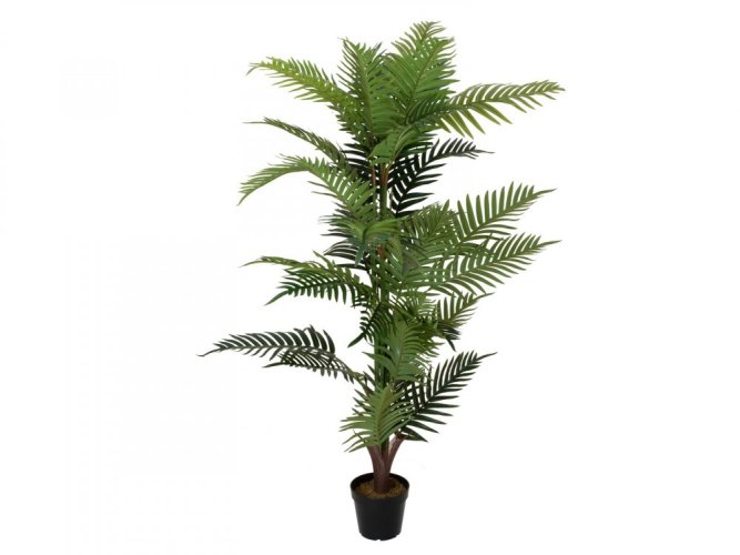 Palma Areca, 150 cm