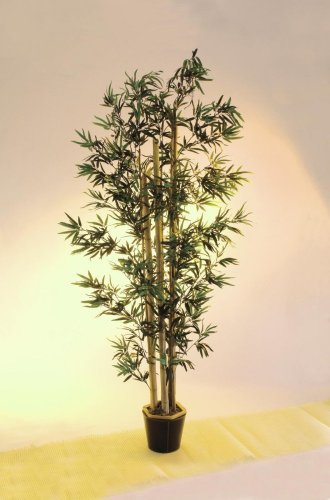 Bambusový strom s přírodními lodyhami, 205 cm