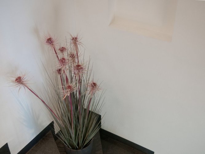 Tráva s květy, 120 cm
