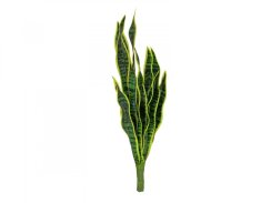 Hadí jazyk (EVA), zelenožlutý, 60 cm