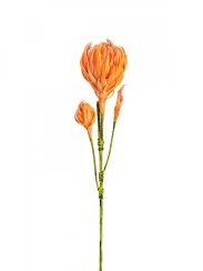 Větvička dálie, oranžová, 100 cm Větvička dálie, oranžová, 100 cm