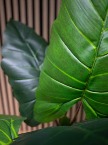 Taro Alocasia, umělá rostlina, 140cm
