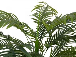 Palma Areca, 2 kmeny, 120 cm