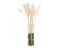 JOLIPA Pampas tráva, svazek stonků, sušené, 75cm