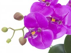 Orchidej fialová v dekoračním květináči, 11 květů, 45 cm