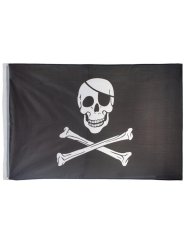 Pirátská vlajka