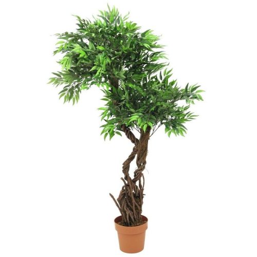 Vrba, výška 145 cm - použito (82506740)