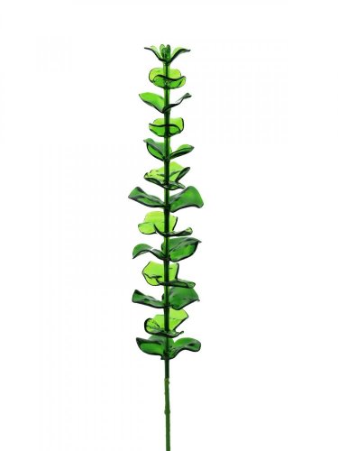 Eukalyptus zelený - křišťálový, 81 cm, 12 ks