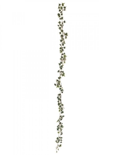 Girlanda z Holandského břečťanu zeleno-bílá, 180 cm