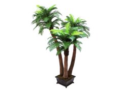 Kapradinová palma 3 kmeny 240 cm - poškozeno (82509152)