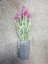 Levandule v květináči růžová, 45 cm - poškozeno (82600213)
