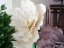 Obří květ (EVA), krémově bílý, 80 cm