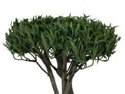 Bonsai stromek, vícekmenný, 130cm - rozbaleno (82511510) Bonsai stromek, vícekmenný, 130cm - rozbaleno (82511510)