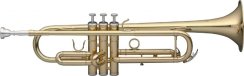 Stagg WS-TR115
