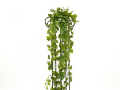 Girlanda Photosu Premium, 170 cm