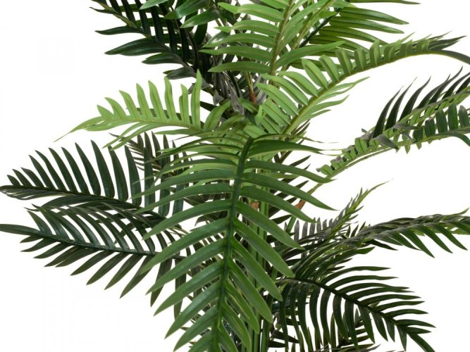 Palma Areca, 150 cm