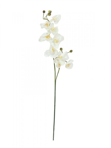 Orchidej větvička, krémově-bílá, 100 cm