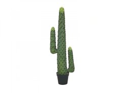 Mexický kaktus zelený, 117 cm