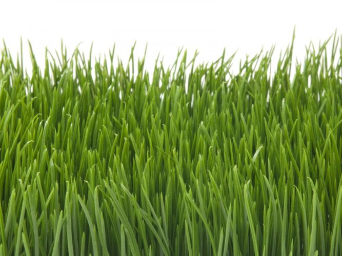 Umělá tráva, světle zelená, 25 x 25 cm