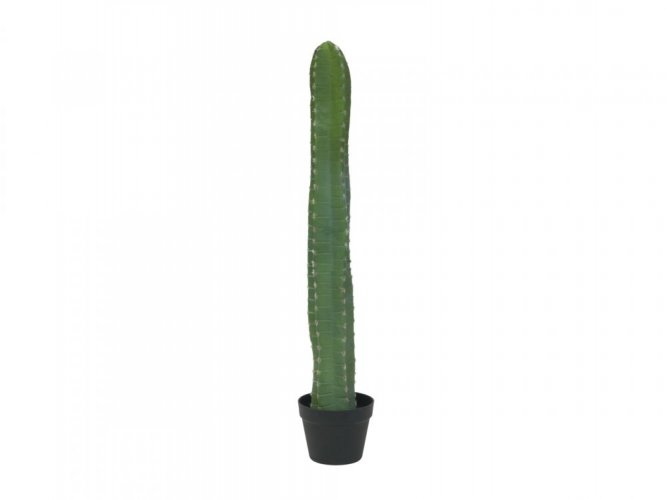 Mexický kaktus zelený, 97 cm