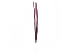 Magické stonky cibule růžové, 134 cm