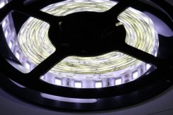 LED páska SMD5050, bílá 8000K, 24V, 1m, IP54, 60 LED/m