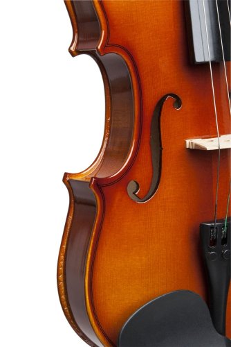 Stagg VN-4/4, housle s pouzdrem