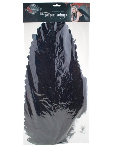 Křídla s černým peřím